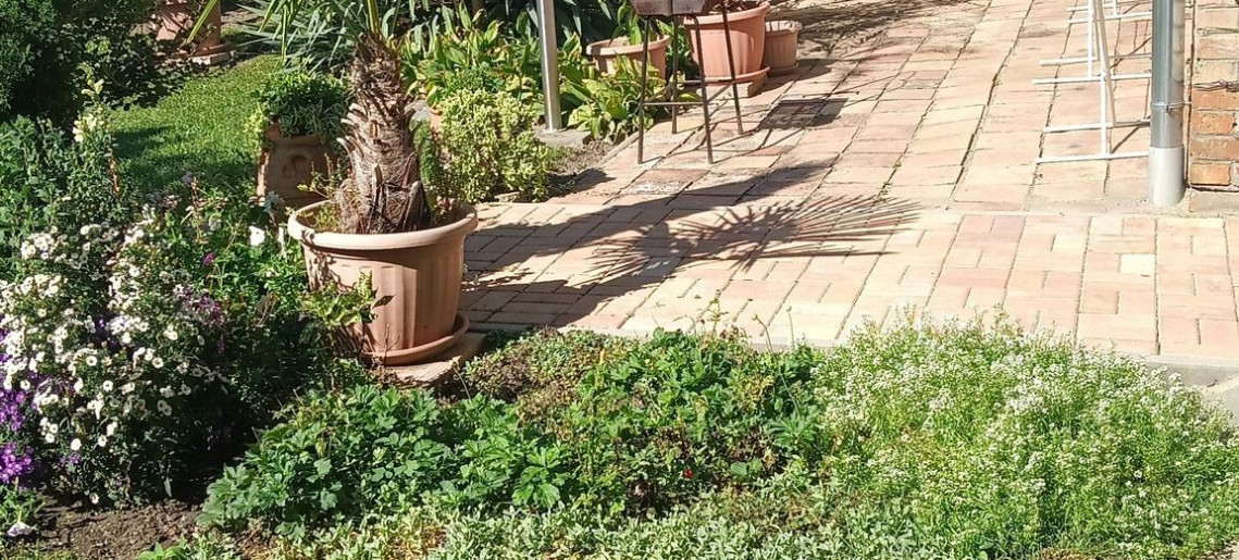 Álom Apartman Gyula - 14