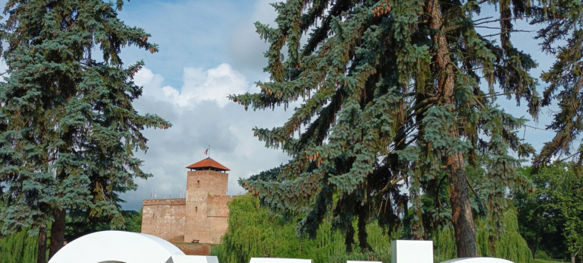 Mediterrán Apartman Gyula - 28