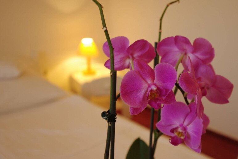 Fodor Hotel Gyula - 22