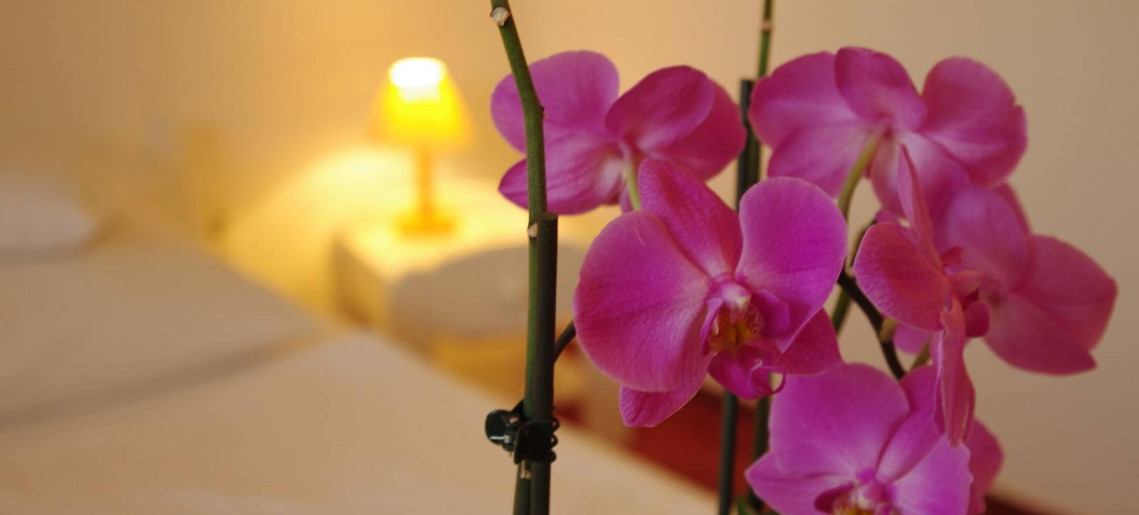 Fodor Hotel Gyula - 22