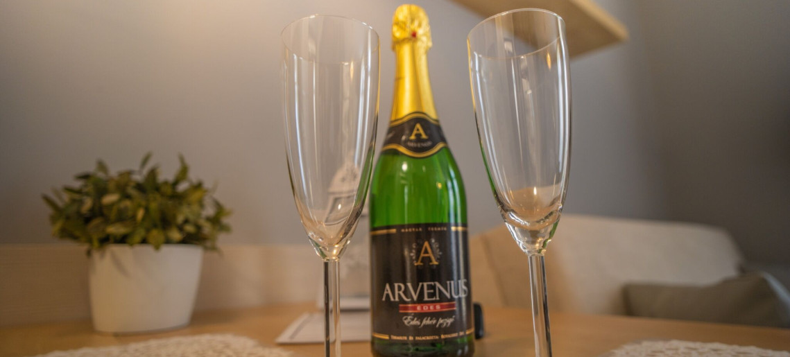 4 Ász Deluxe Apartman Gyula - 14