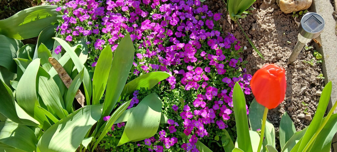 Marcsi Apartman Gyula - 7