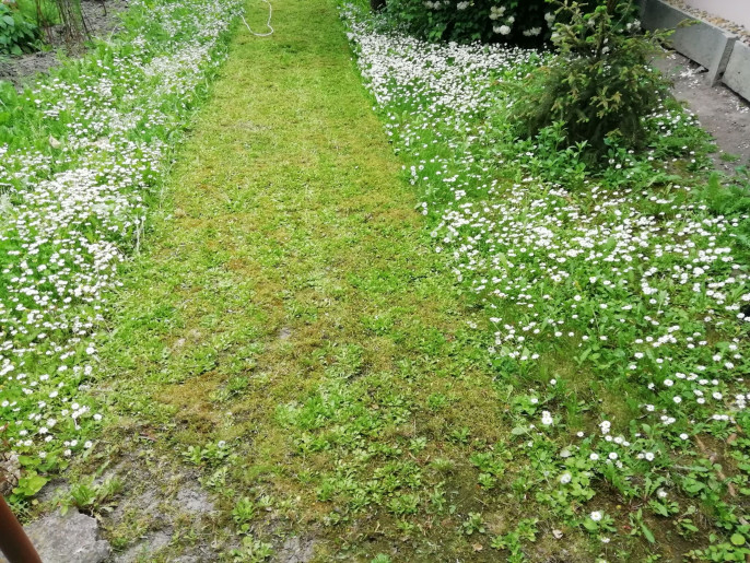 Marcsi Apartman Gyula - 16