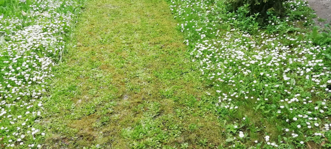 Marcsi Apartman Gyula - 16