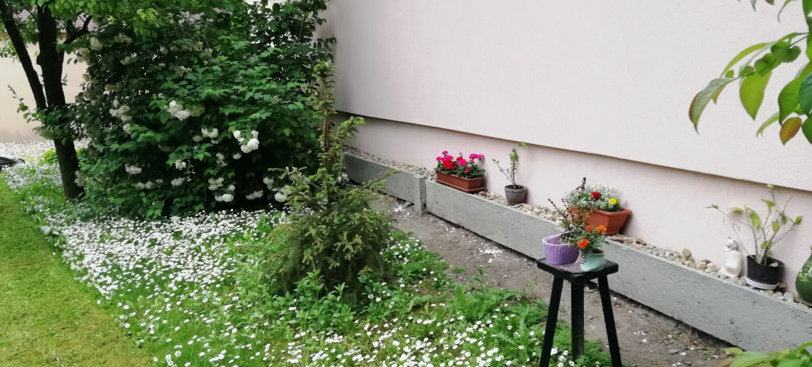 Marcsi Apartman Gyula - 17