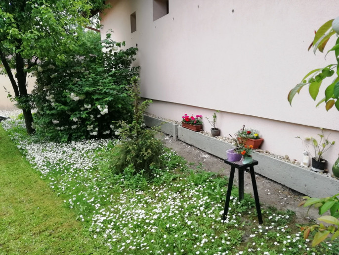 Marcsi Apartman Gyula - 17