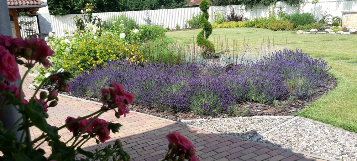 Szilágyi Party-Service Vendégház Gyula - 10