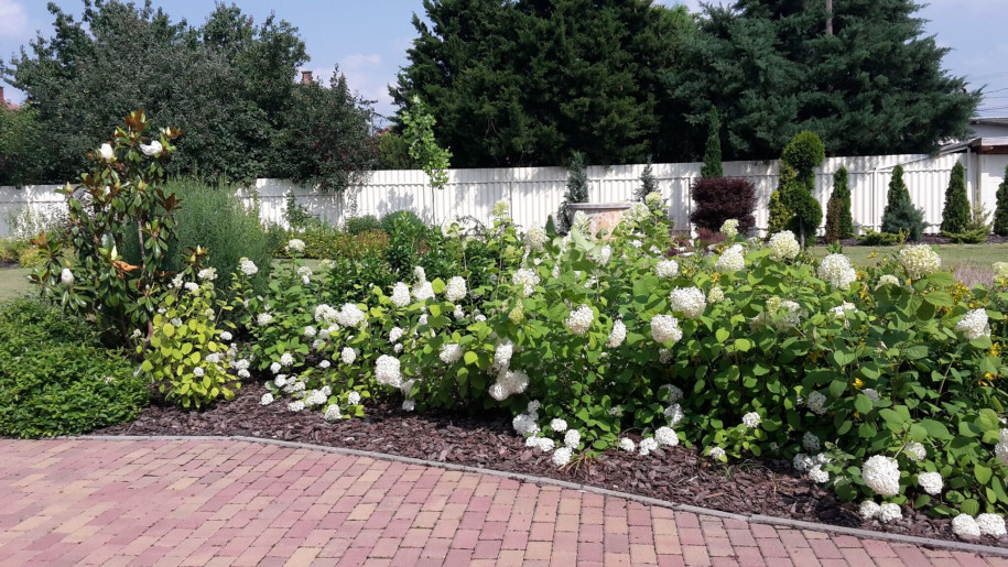 Szilágyi Party-Service Vendégház Gyula - 11