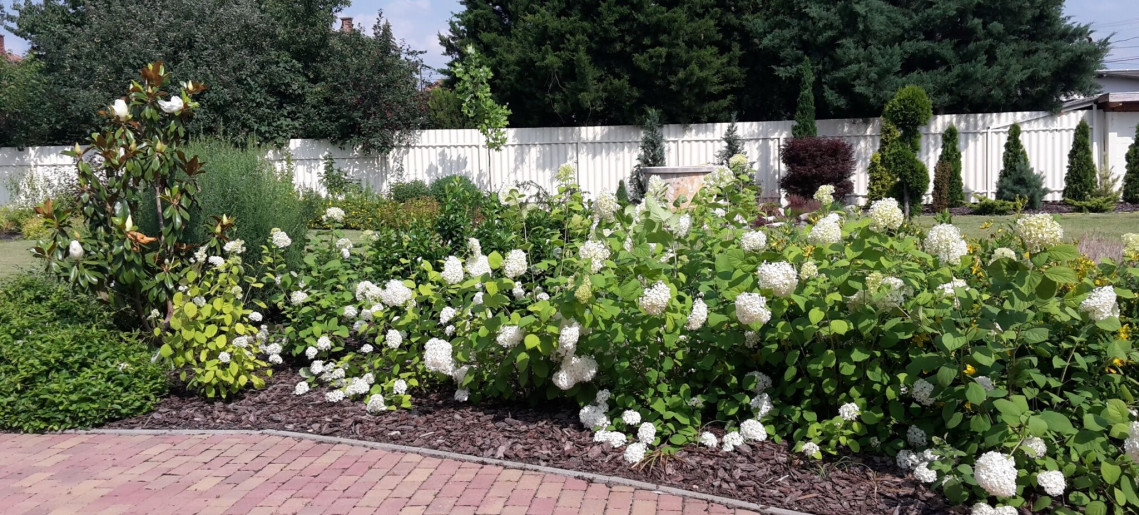 Szilágyi Party-Service Vendégház Gyula - 11