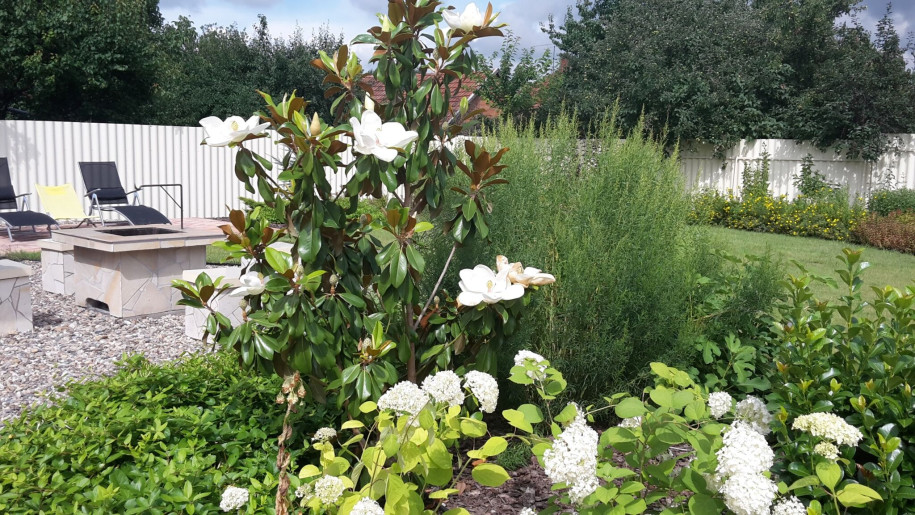 Szilágyi Party-Service Vendégház Gyula - 12