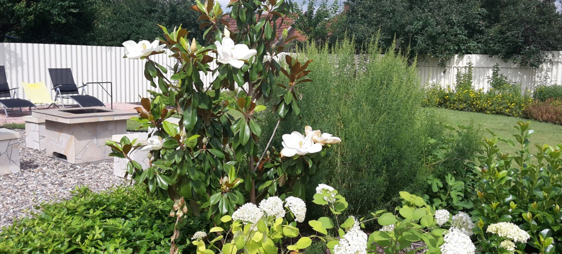 Szilágyi Party-Service Vendégház Gyula - 12