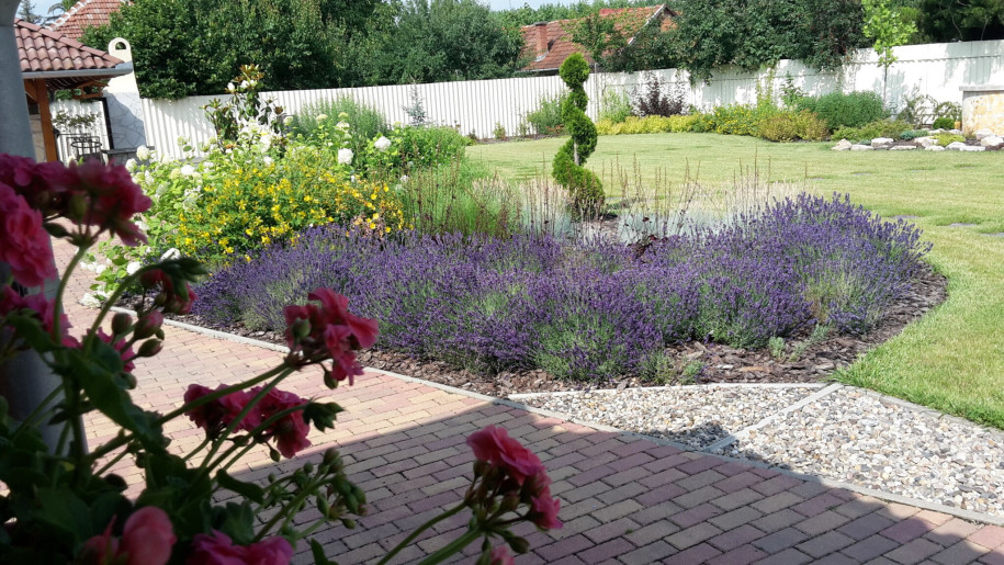 Szilágyi Party-Service Vendégház Gyula - 15