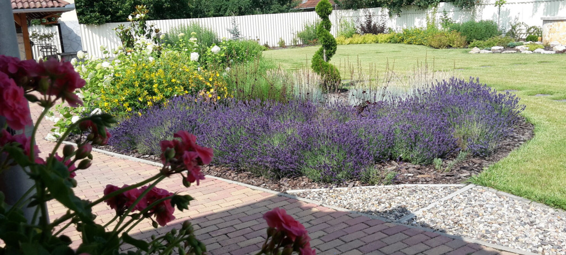 Szilágyi Party-Service Vendégház Gyula - 15