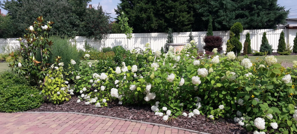 Szilágyi Party-Service Vendégház Gyula - 16