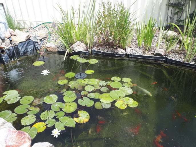 Szilágyi Party-Service Vendégház Gyula - 17