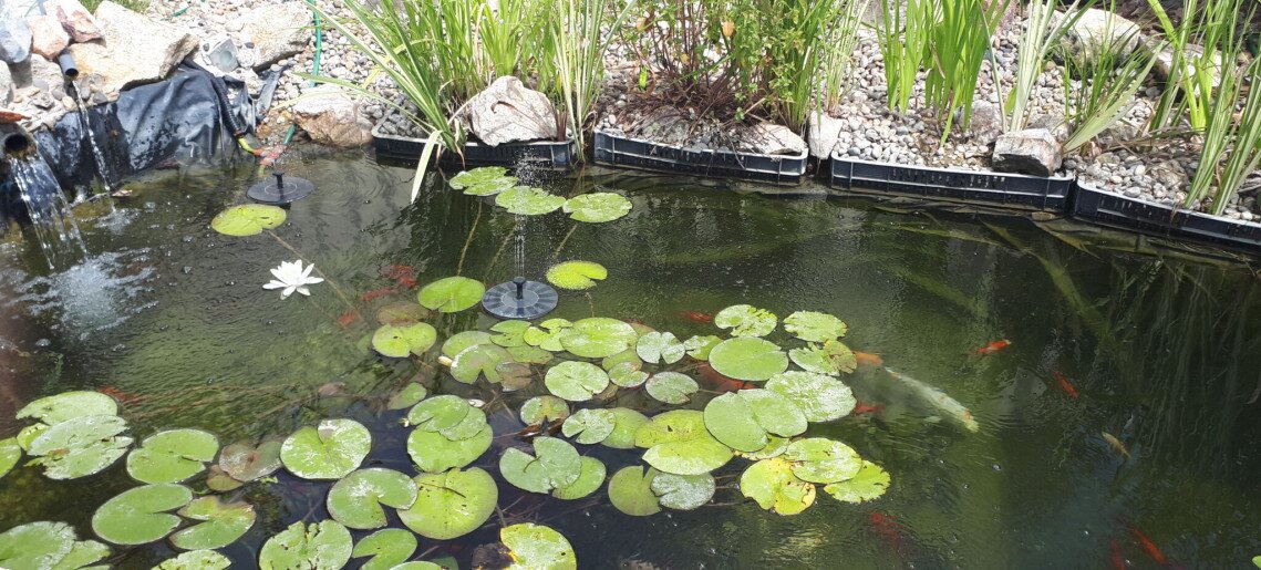 Szilágyi Party-Service Vendégház Gyula - 17