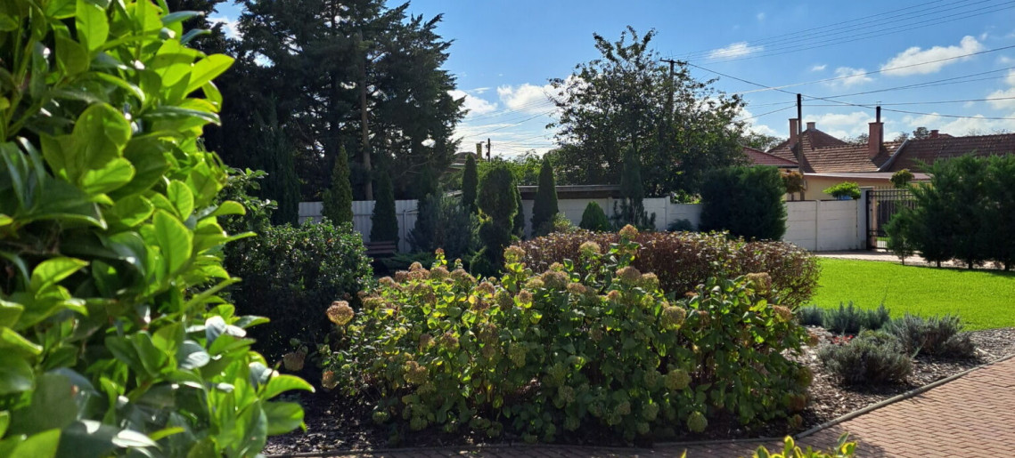 Szilágyi Party-Service Vendégház Gyula - 21