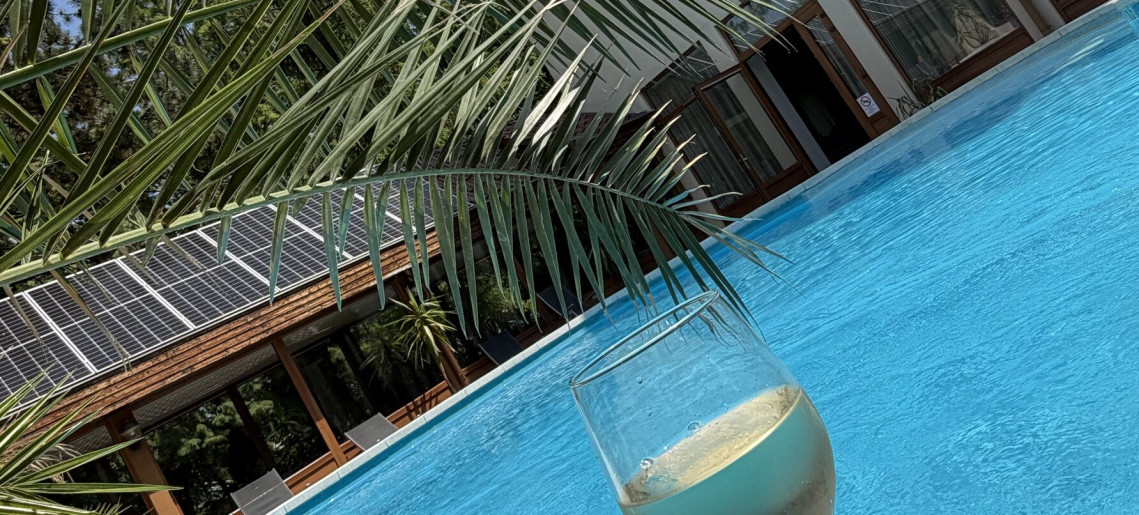 Park Hotel Gyula - 1