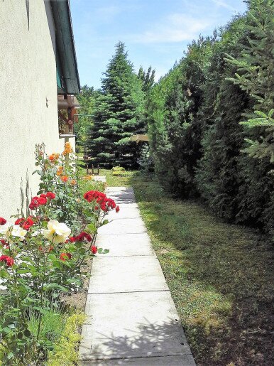 Szanazugi Oázis Vendégház Gyula - 5