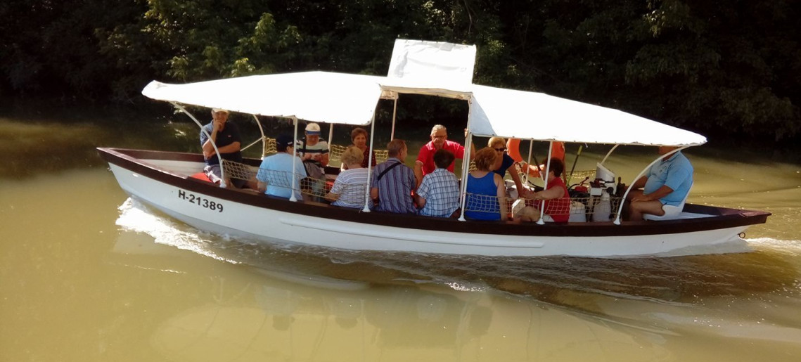 Szanazugi Oázis Vendégház Gyula - 21