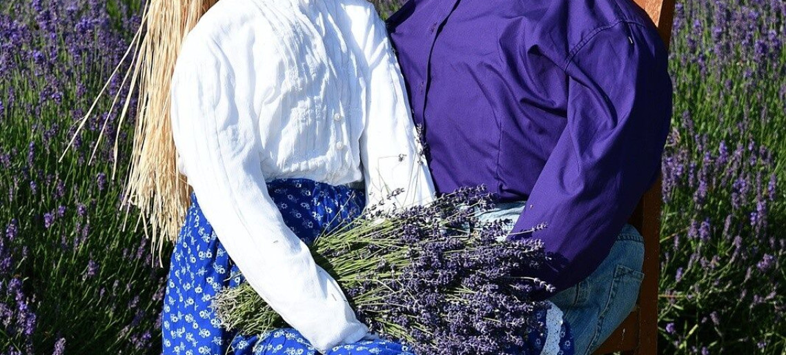 Szanazugi Oázis Vendégház Gyula - 22