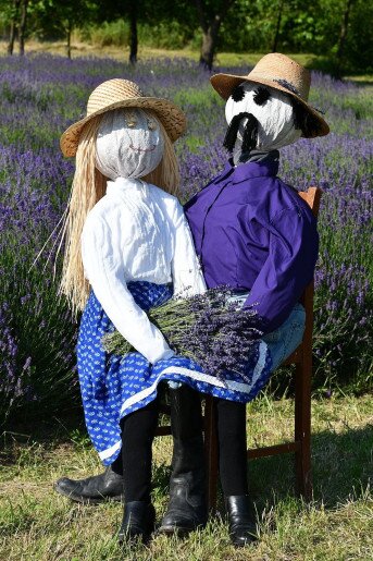 Szanazugi Oázis Vendégház Gyula - 22