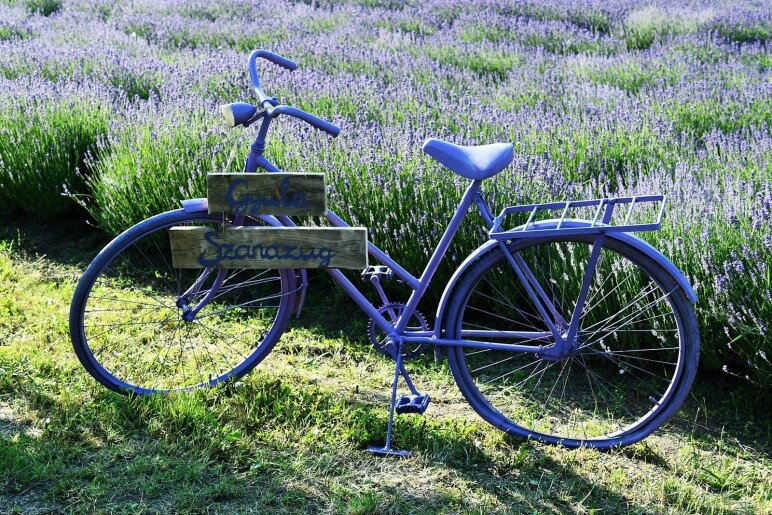 Szanazugi Oázis Vendégház Gyula - 23