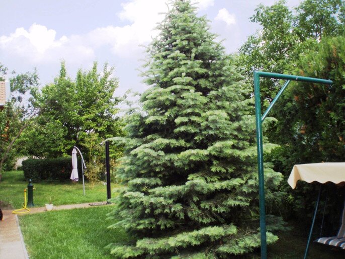 Szanazugi Oázis Vendégház Gyula - 8