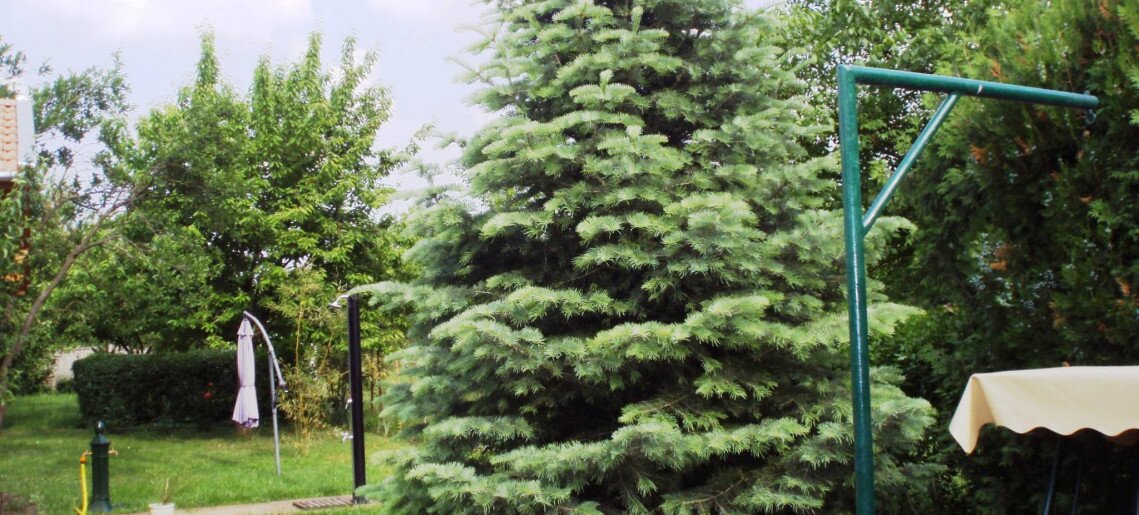 Szanazugi Oázis Vendégház Gyula - 8