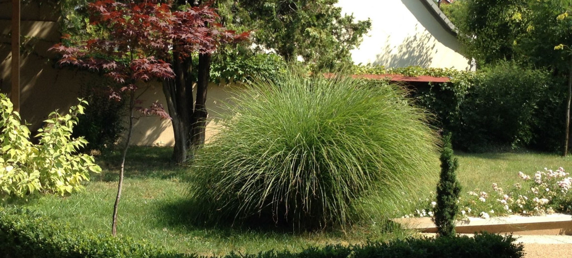 Belvárosi Apartmanház Gyula - 1