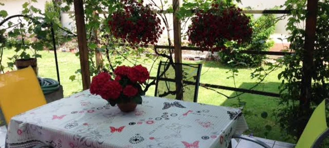 Körösparti Pihenő Gyula - 1