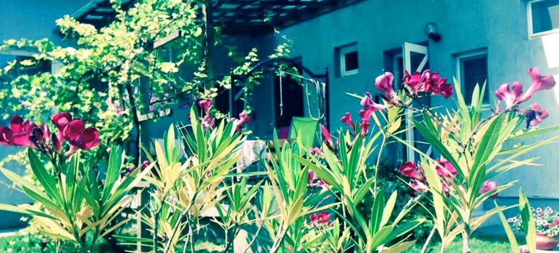 Körösparti Pihenő Gyula - 5