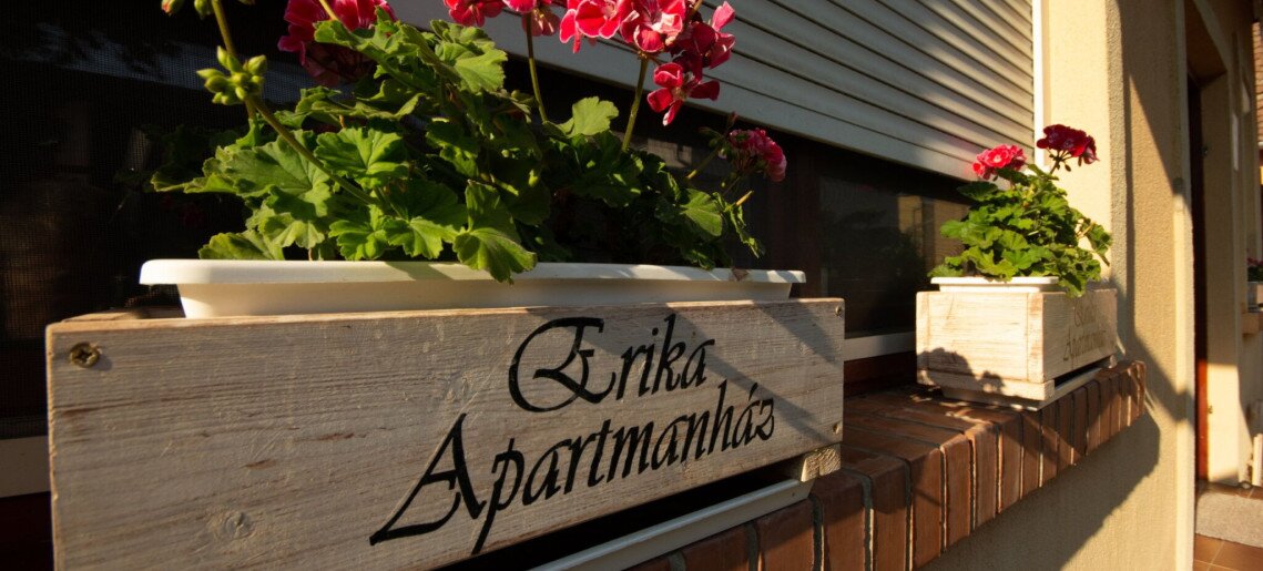 Erika Apartmanház Gyula - 3