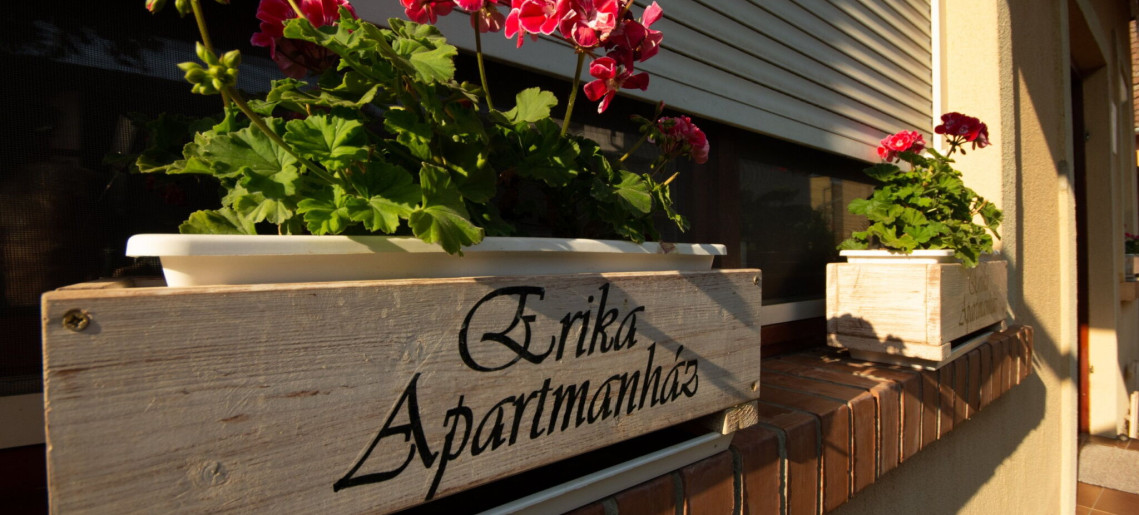 Erika Apartmanház Gyula - 3