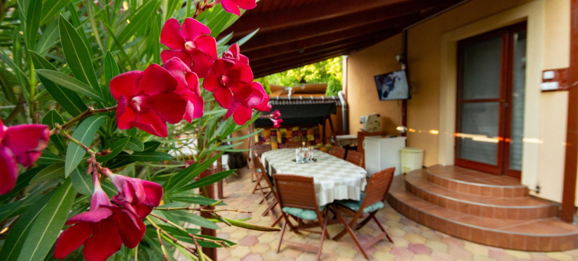 Erika Apartmanház Gyula - 9