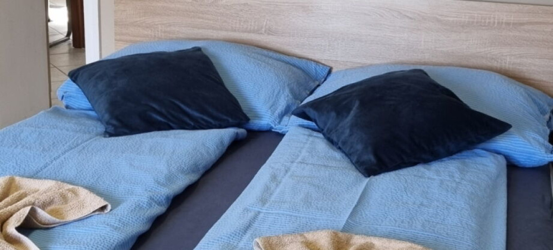 Leila Wellness Apartmanház Gyula - 1