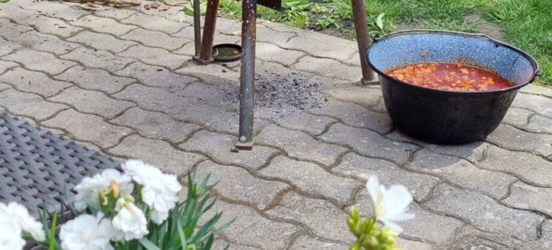 Leila Wellness Apartmanház Gyula - 4