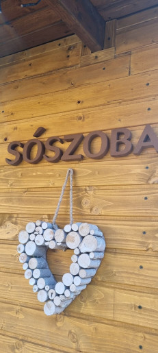 Leila Apartman Gyula - 8