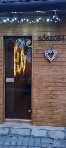 Leila Apartman Gyula - 10