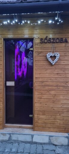 Leila Apartman Gyula - 15