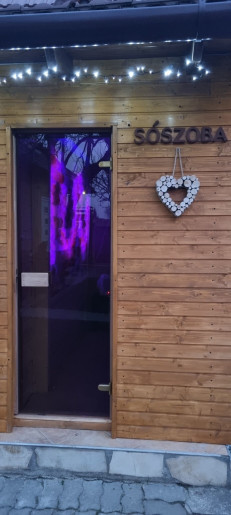 Leila Apartman Gyula - 11