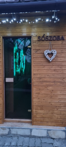 Leila Apartman Gyula - 12