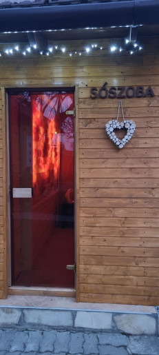 Leila Apartman Gyula - 13