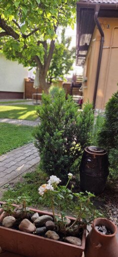 Leila Apartman Gyula - 26