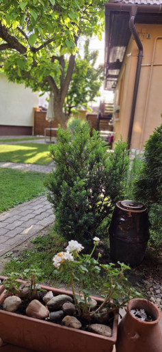 Leila Apartman Gyula - 18