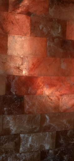 Leila Apartman Gyula - 22