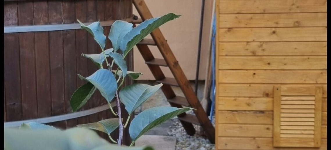 Leila Wellness Apartmanház Gyula - 23