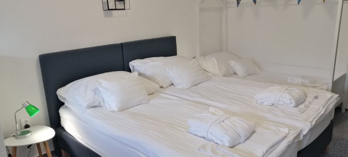 Hőforrás Hotel Gyula - 1