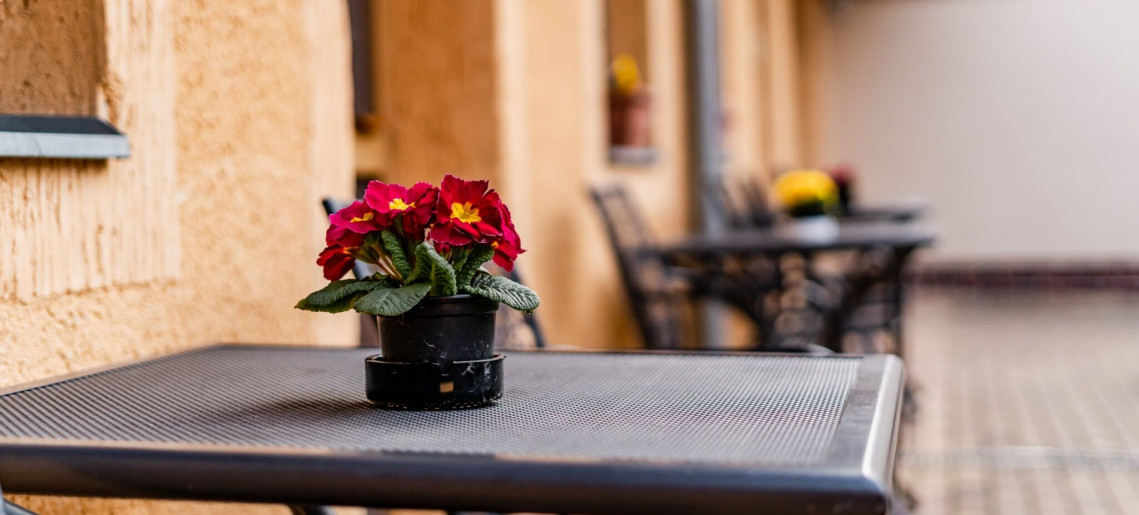 Estike Apartman Gyula - 4