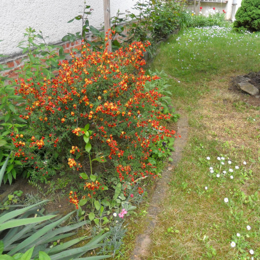 Fortuna Apartman Gyula - 4